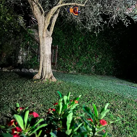 بيت للعطل Casa Anastasia غارليندا